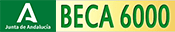 Becas 6000 - Junta de Andalucía